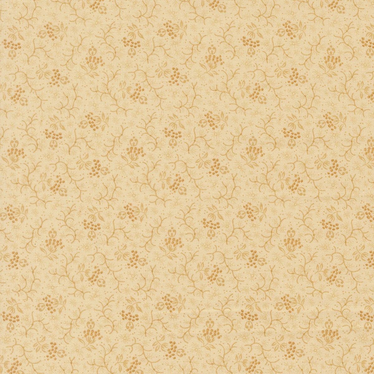 Wild Orchid Vanilla Bean Natural 2774-11 image 0
